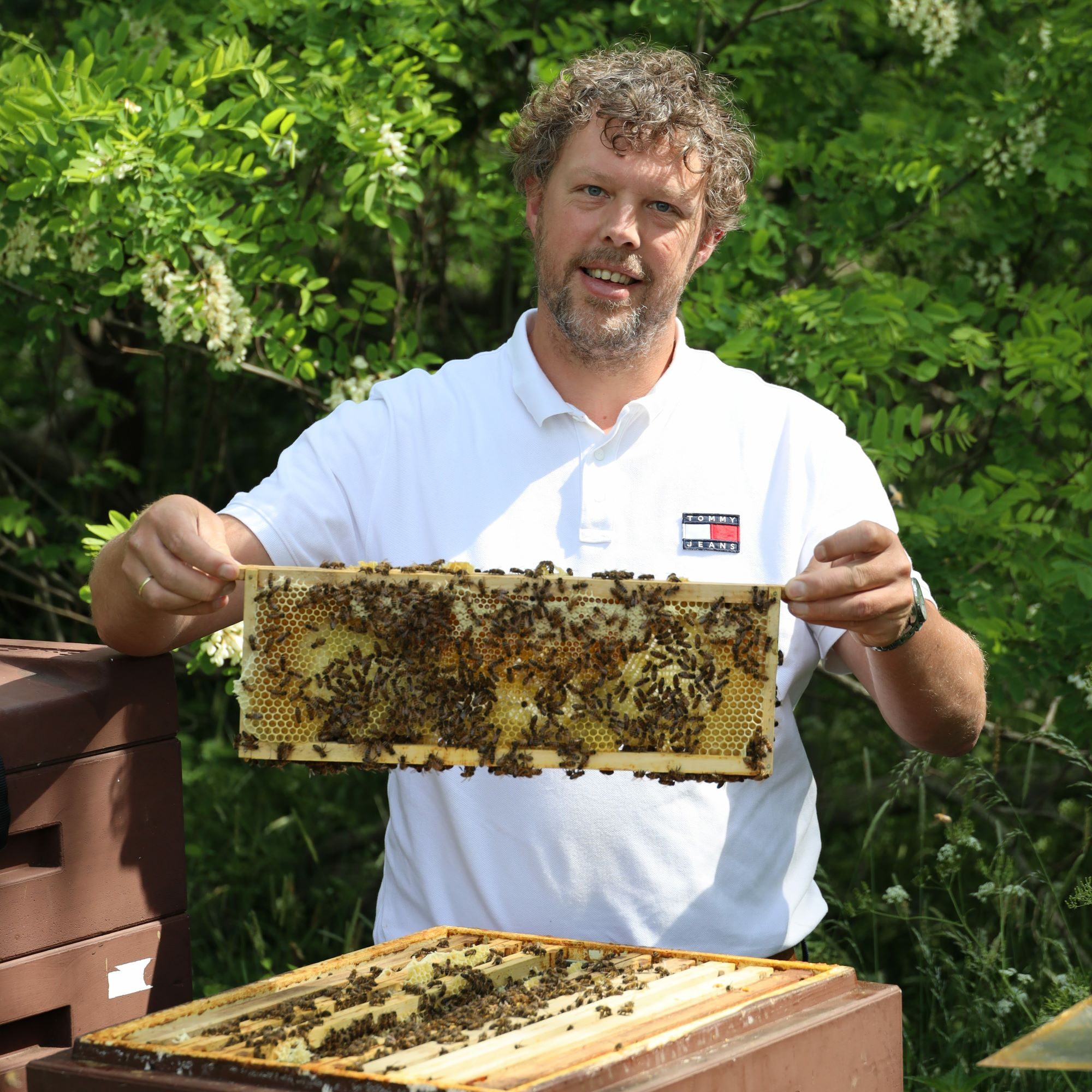 David met echte raathoning van eigen bijen